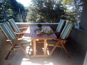 Hotels in Silba